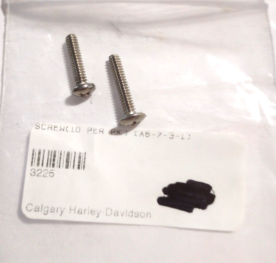 Harley-Davidson Pan Head Screw NOS 3225 Qty. 2 (L-6075) | eBay