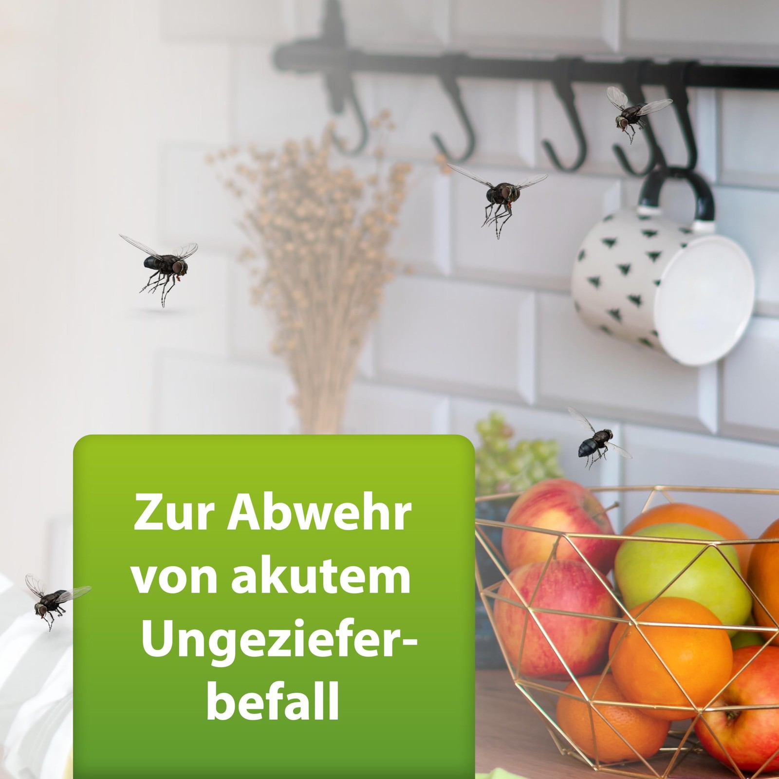 Bild 15 von 24