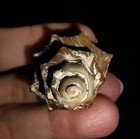 Bild 6 von 6