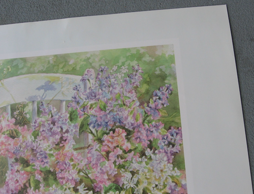 Lilac Festival, Highland Park, Rochester NY, Prints ONLY-Choice 2009 or 2011 - Picture 18 of 23