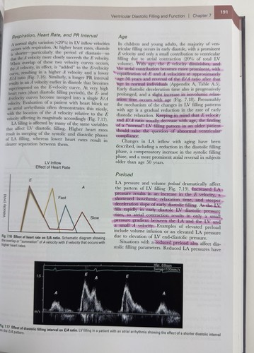 Lehrbuch der klinischen Echokardiographie von Catherine M. Otto (2018, Hardcover) - Bild 4 von 12