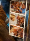 Bild 3 von 19