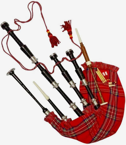 Black Royal Scottish Highland Bagpipes Silver Mounts with Bag,Practice Chanter - Picture 8 of 8