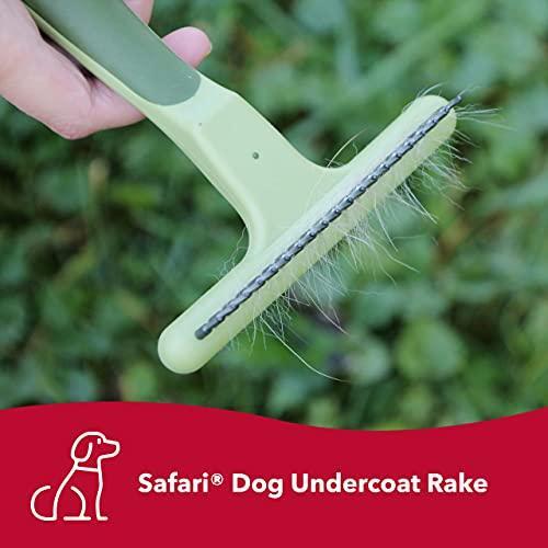 Coastal Pet - Safari - Dog Undercoat Rakes - Single Row for Medium and Large - Picture 2 of 2