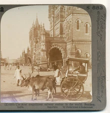 Varied Methods of travel an Ekka in Bombay India Underwood Stereoview c1900