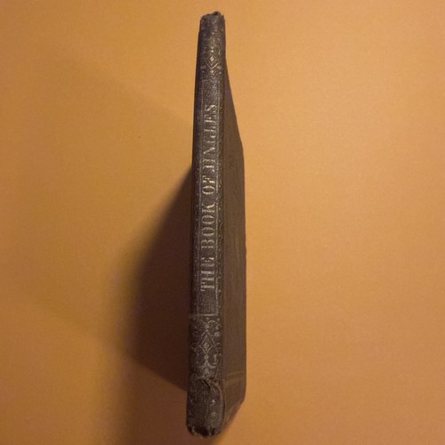 Kris Kringles Bibliothek Das Buch der Jingles (Abt. 1858) Sheldon Neunauge Blakeman - Bild 2 von 8