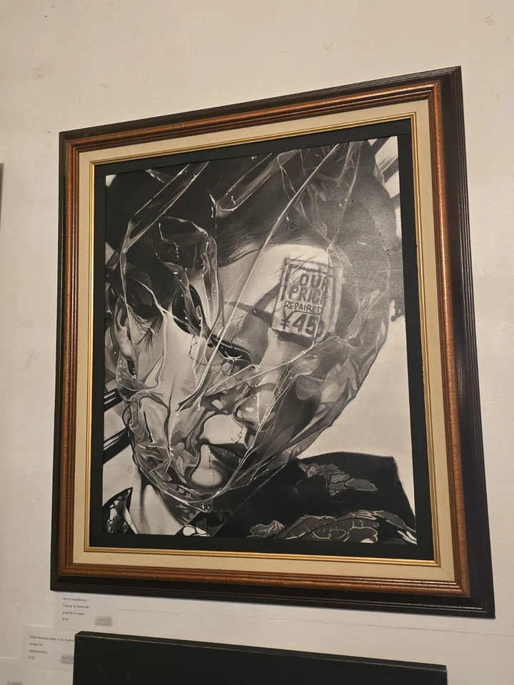 “Velo de imperfección” – Obra de arte original galardonada de grafito Foto 2 de 4