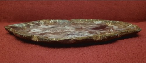 POLISHED PETRIFIED WOOD BOWL FOSSIL - Large Bowl- Beautiful Natural Deco - Picture 5 of 15