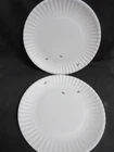180 Degrees Reusable Melamine Fake ANTS 11" Picnic Dinner Plates,  Set 2, Ex!