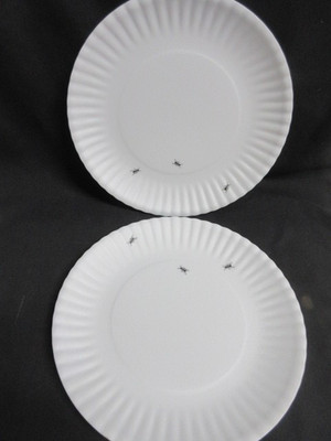 180 Degrees Reusable Melamine Fake ANTS 11'' Picnic Dinner Plates,  Set 2, Ex!
