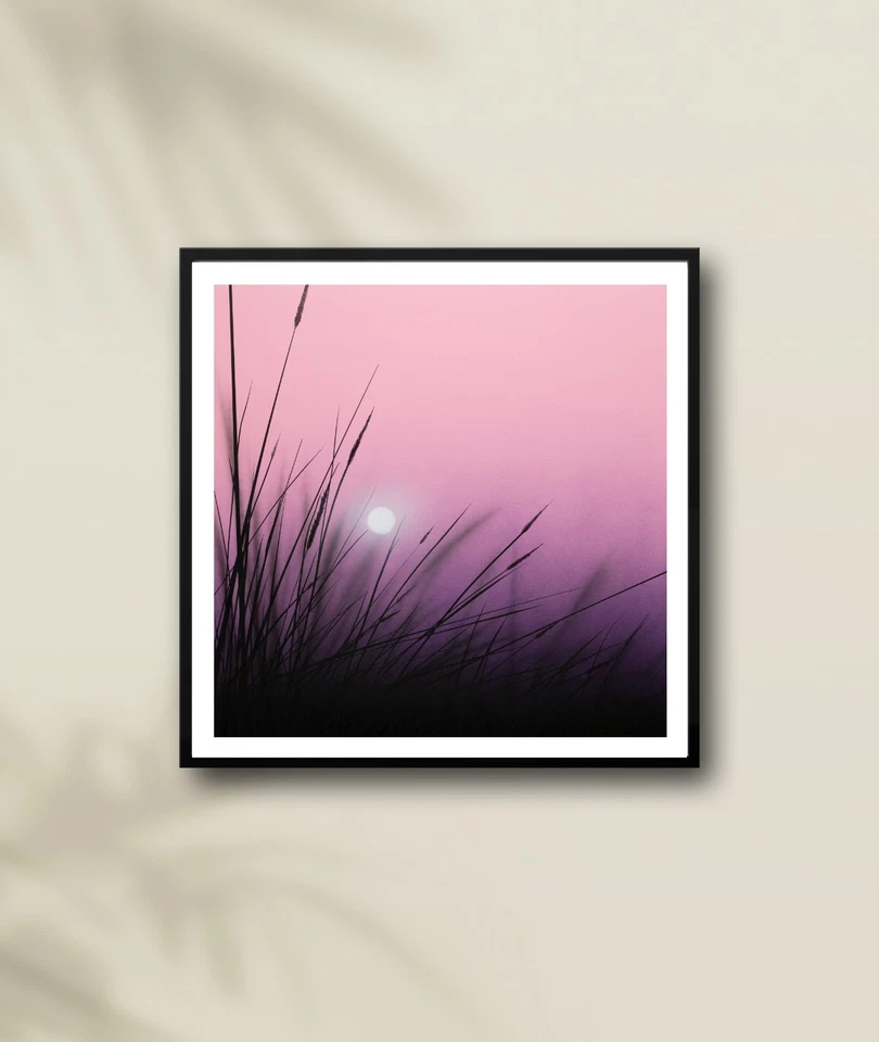 Arte de pared en lienzo Tranquil Dusk 24x24 - impresión giclée silueta de hierba al atardecer rosa Foto 4 de 4