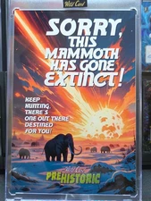 Oversized 6x4 Magnetic Card Holder