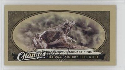 2009 Upper Deck Champ's Natural History Collection Blanchard's Cricket Frog 4g8