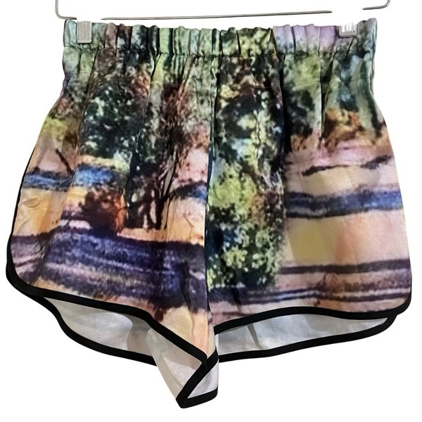 Alice MCcall Shorts Size AU 8 / US 4 / S Old Mexico Print Summer