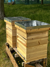 1 X NATIONAL BEE HIVE WITH FRAMES AND WIRED WAX FOUNDATION FLAT PACK