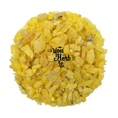 Sandarac Räucherharz Tränen 25g-200g - Tetraclinis Articulata - Bild 2 von 3