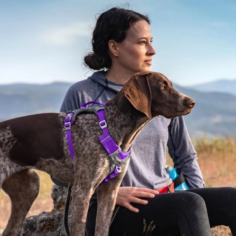 Dog Harness No Pull Reflective Padded Control Handle Lightweight Durable Hiking