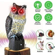 Solar Owl Decoys to Scare Birds Squirrels Away  Bird Scarecrow