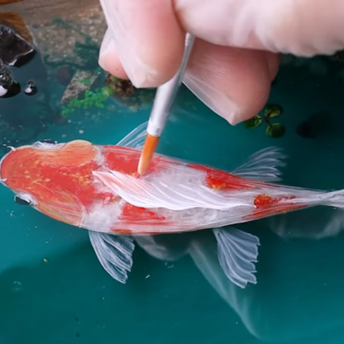 Table Koi Resin Epoxy, Table Coffee Resin Koi Fish Painting, Table Sofa Handmade - Picture 5 of 8
