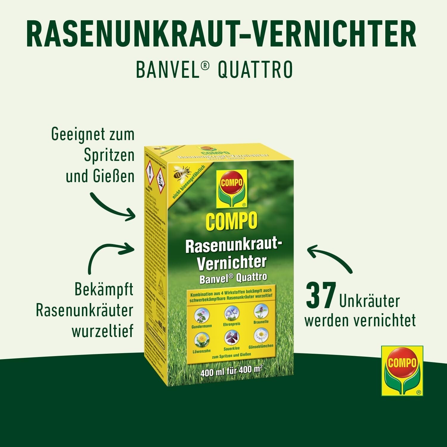 Bild 8 von 8