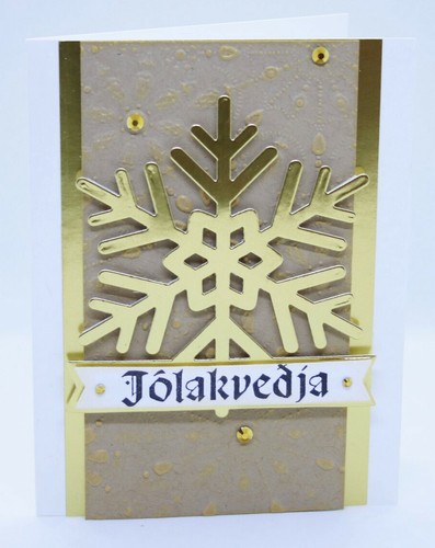 Sizzix Jeweled Snowflakes 3D Embossing folder #664489 Retail $12.99 Kath Breen - Picture 4 of 8