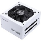 Charger Full Modular 750W Pcie 5.0 80+ Gold Gaming PSU RTX Professional