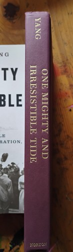 One Mighty and Irresistible Tide by Jia Lynn Yang HC 2020 1st Edition - Picture 4 of 5