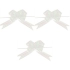 3 PCS Wedding Car Decorations Hand-painted Large Gauze Flower Pull