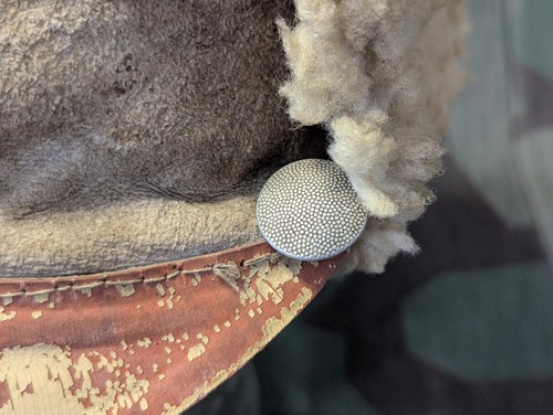 Sombrero de lana de cordero oficial alemán de la Segunda Guerra Mundial gorra de invierno modificada Luftwaffe? Ejército? Original - Imagen 14 de 21