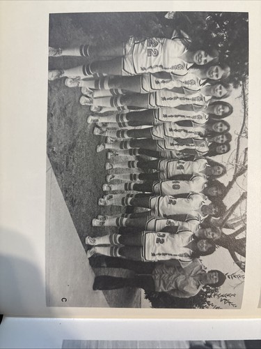 1976 Del Norte High School Yearbook, Albuquerque, New Mexico "PAVILLON" - Bild 14 von 24