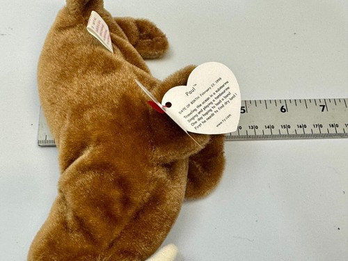 Paul The Walrus Sea Animal Plush Toy Birth Feb 23 1999 Ty Beanie Baby Retired - Picture 16 of 17