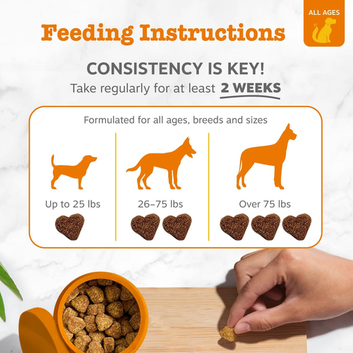 Zesty Paws Probiotic Bites for Dogs - 90 Soft Chews - Picture 4 of 13