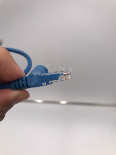 Intellinet Cat5e Patch Cable UTP 1.5FT Blue Molded RJ45 Networking Cable LAN - 第 8/9 張圖片