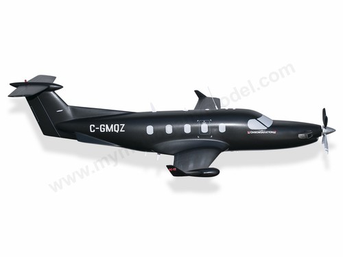 Pilatus PC-12 Chrono Aviation Desk Holz Flugzeug neues Modell klein Maßstab 1/72 - Bild 2 von 12