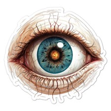 Eye Eyeball Vinyl Decal Sticker Indoor Outdoor 3 Sizes 9716