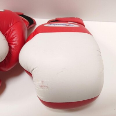 Winning ボクシンググローブ アマチュア試合用 12オンスFP-1200 Winning Boxing Gloves 12oz FP-1200 Magic Tape For amateur