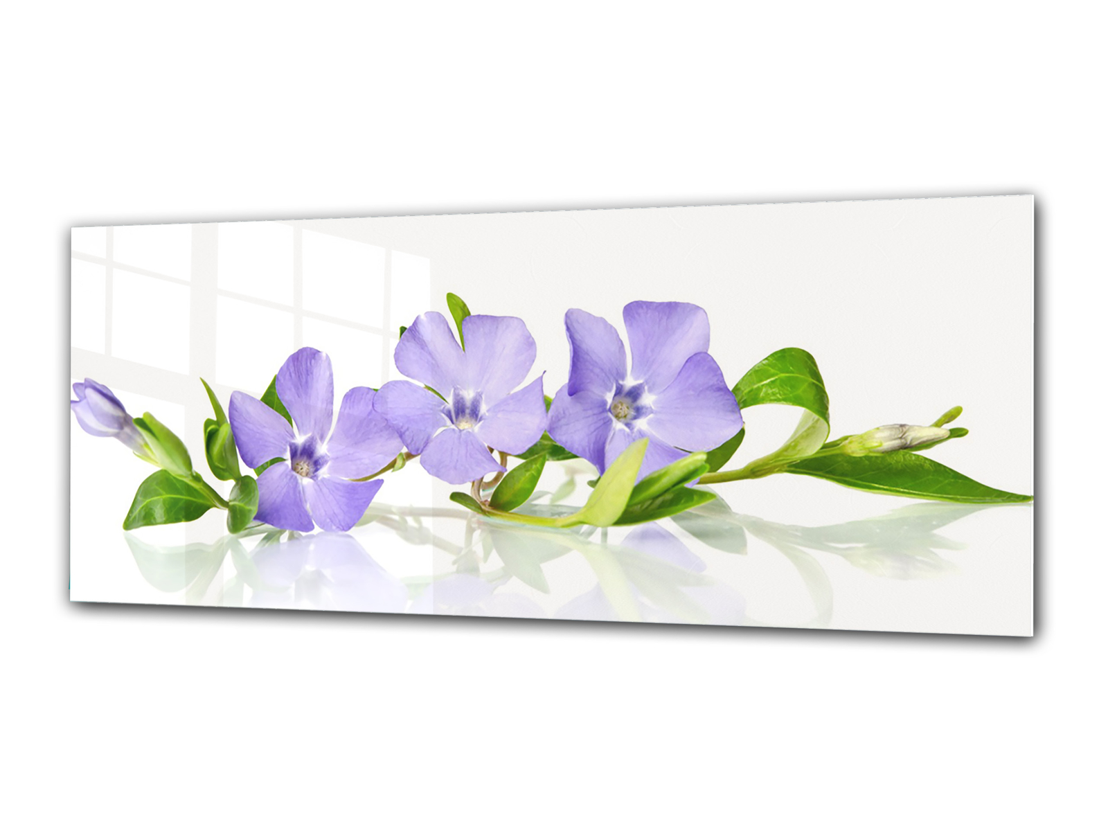 Glass Print Wall Art 80x30 cm Image on Glass Decorative Wall Picture 63406767 Glass Print Wall Art 80x30 cm Image on Glass Decorative Wall Picture 63406767