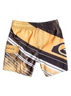 Quiksilver Swim Shorts for Boys