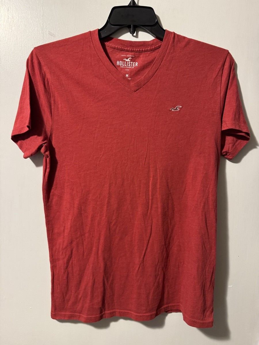 LOT OF 2 Men's Sz M Red & Blue V-Neck Hollister Shirts! | eBay