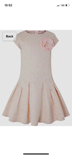 Stunning Pale Pink Monsoon Dress Age 9 Brianna Jacquard BNWT RRP £60 Wedding! - Picture 3 of 7