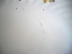 Bild 4 von 7