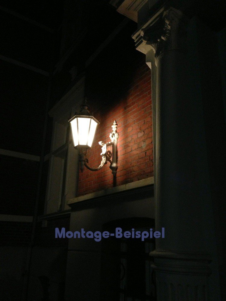 Bild 12 von 12