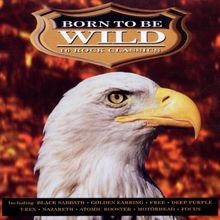 Born to Be Wild von Various | CD | Zustand sehr gut