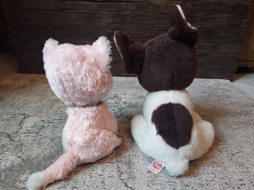 Ty Beanie Boos The Boston Terrier Portia und Katze Amaya 2021 Stofftiere - Bild 4 von 6