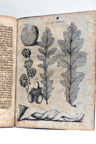 Livre ancien voyage BRÜCKMANN Epistola Itineraria XXXVI WOLFENBÜTTEL 1736 - Picture 6 of 6