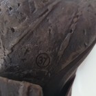 Foto 4 di 11
