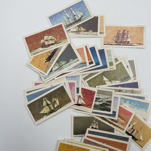 Hundreds Of Brooke Bond Tea Cards Various Themes Bundle Joblot See Photos B11 - Picture 17 of 24