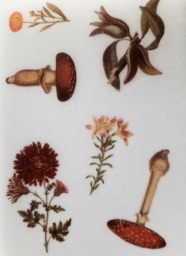  Book of Forest, Sticker, Set of 20 sheets, Japanese Paper - Picture 3 of 8