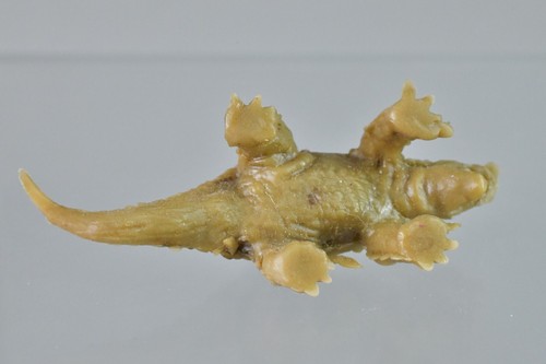 Keshi Ankylosaurus Dinosaur Gashapon Mini Rubber Vintage 1.5" - Picture 3 of 4