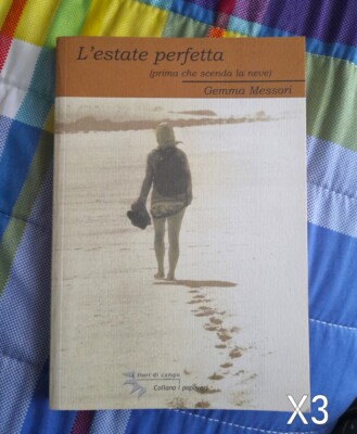 Der perfekte Sommer bevor der Schnee fällt von Gemma Messori - Buch